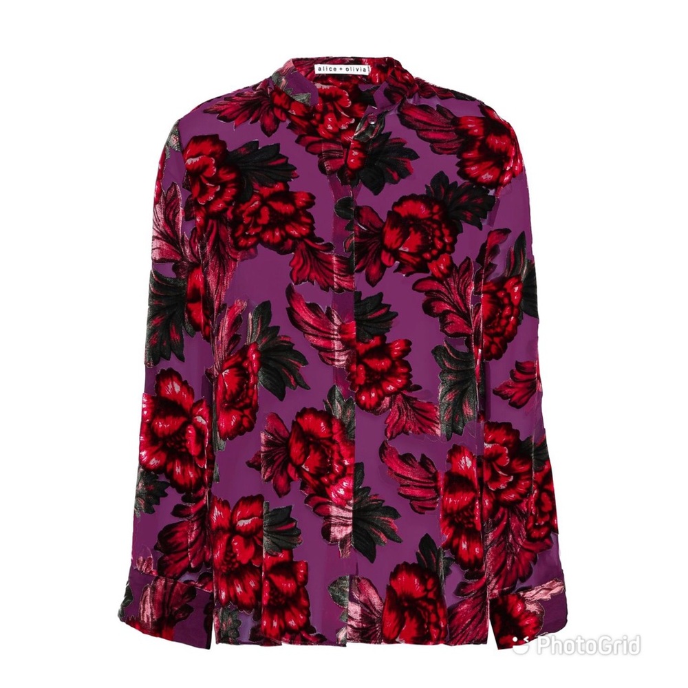 Alice + Olivia floral print Devore velvet shirt